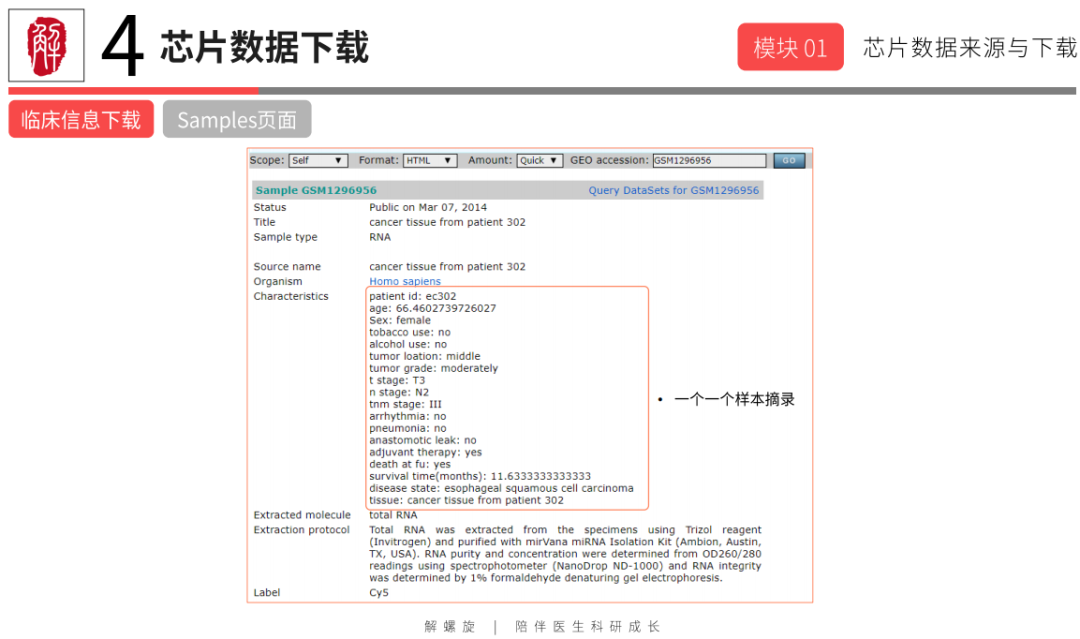 bdc28063dbcae54d8e0bd06d1ce9745c.png