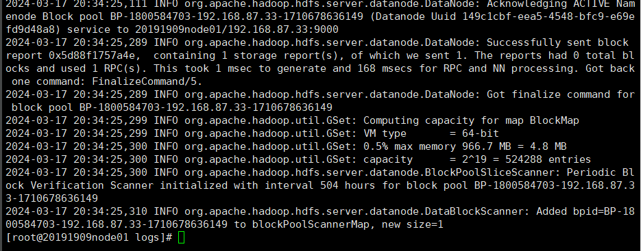 image-20240317203904287