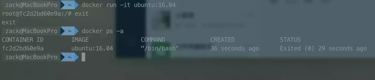都9102年了，还不会Docker？10分钟带你从入门操作到实战上手