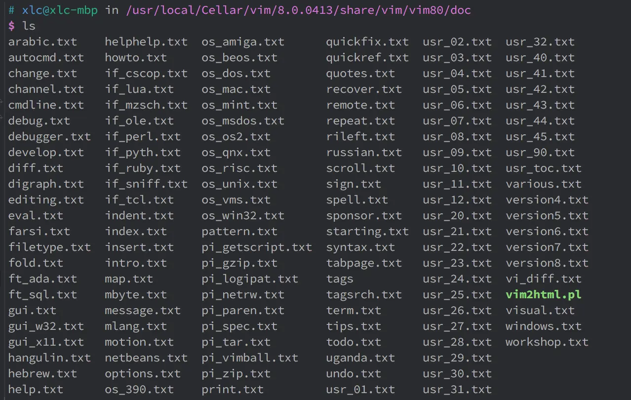 local Vim doc