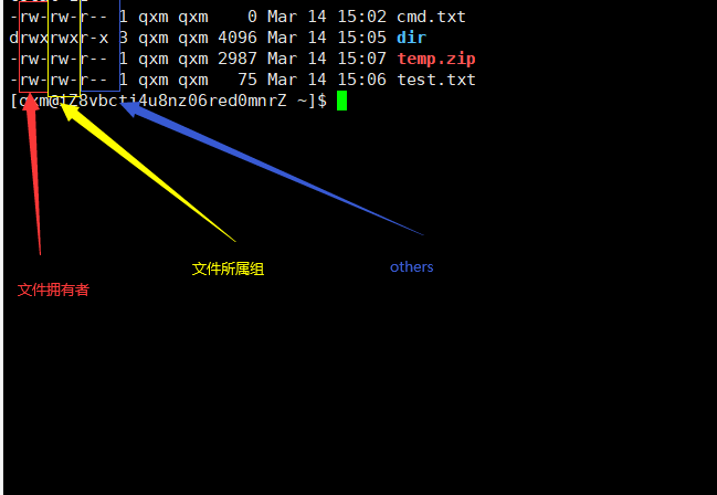 image-20230314165054858