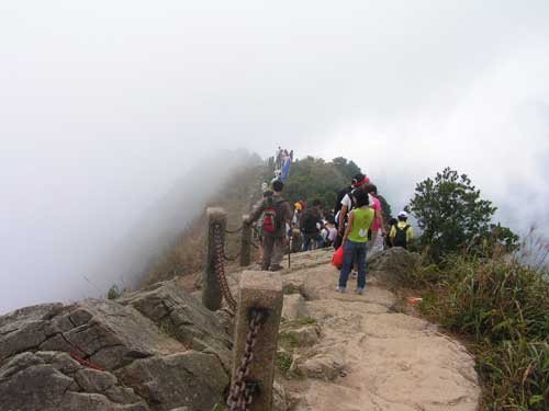 梧桐山