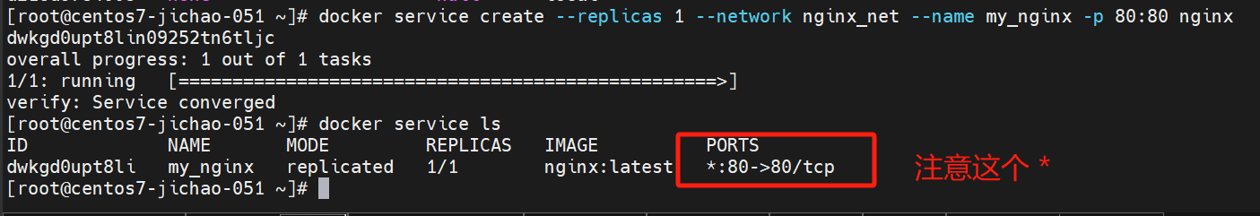 Day23-swarm _centos_07