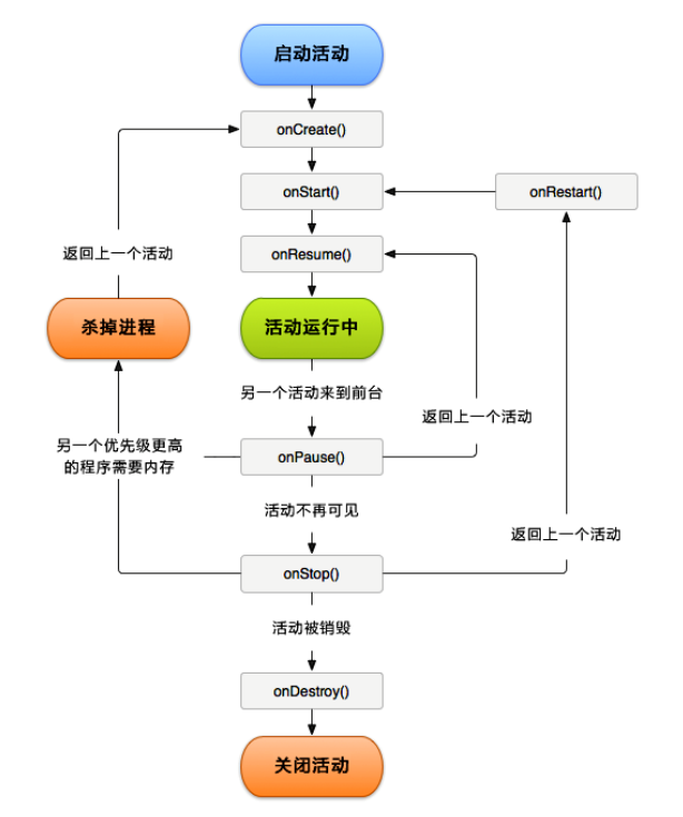 活动的生存期