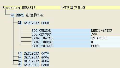 LSMW批处理使用方法(5)_步骤3下