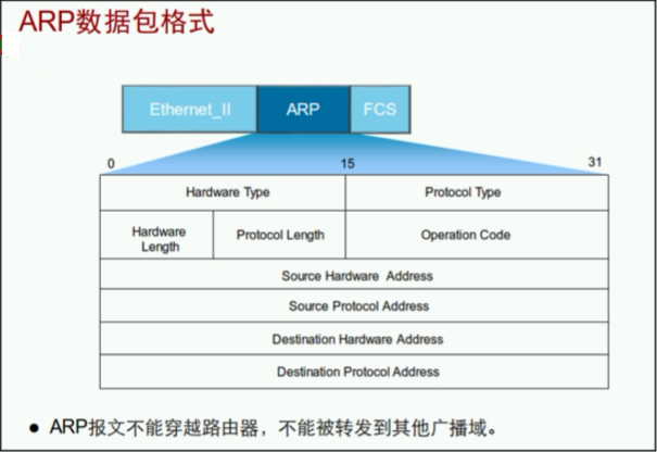 arp数据包格式.png