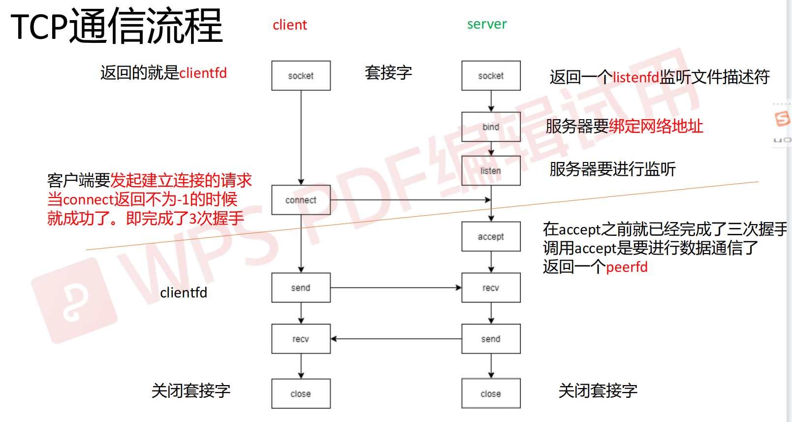 image-20230302080040675