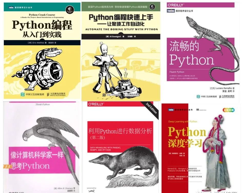 Python青铜到王者必看6本书籍,带你从入门到精通!_python 书-CSDN博客
