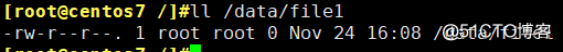 Linux基础命令的使用