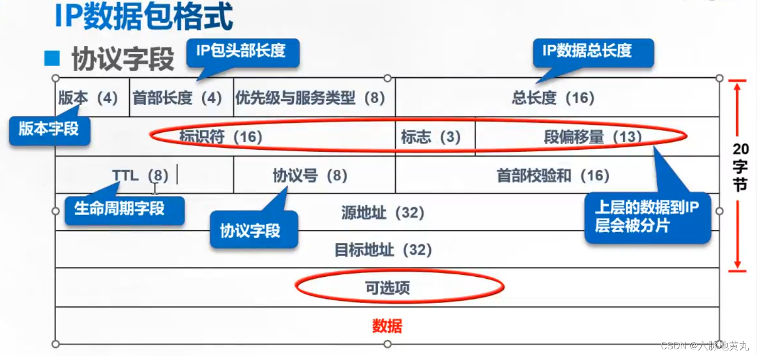 网络层详解(IP数据包的组成、IP协议中两大常用协议ICMP、ARP协议)_都哪些协议可以存在于ip数据报中-CSDN博客