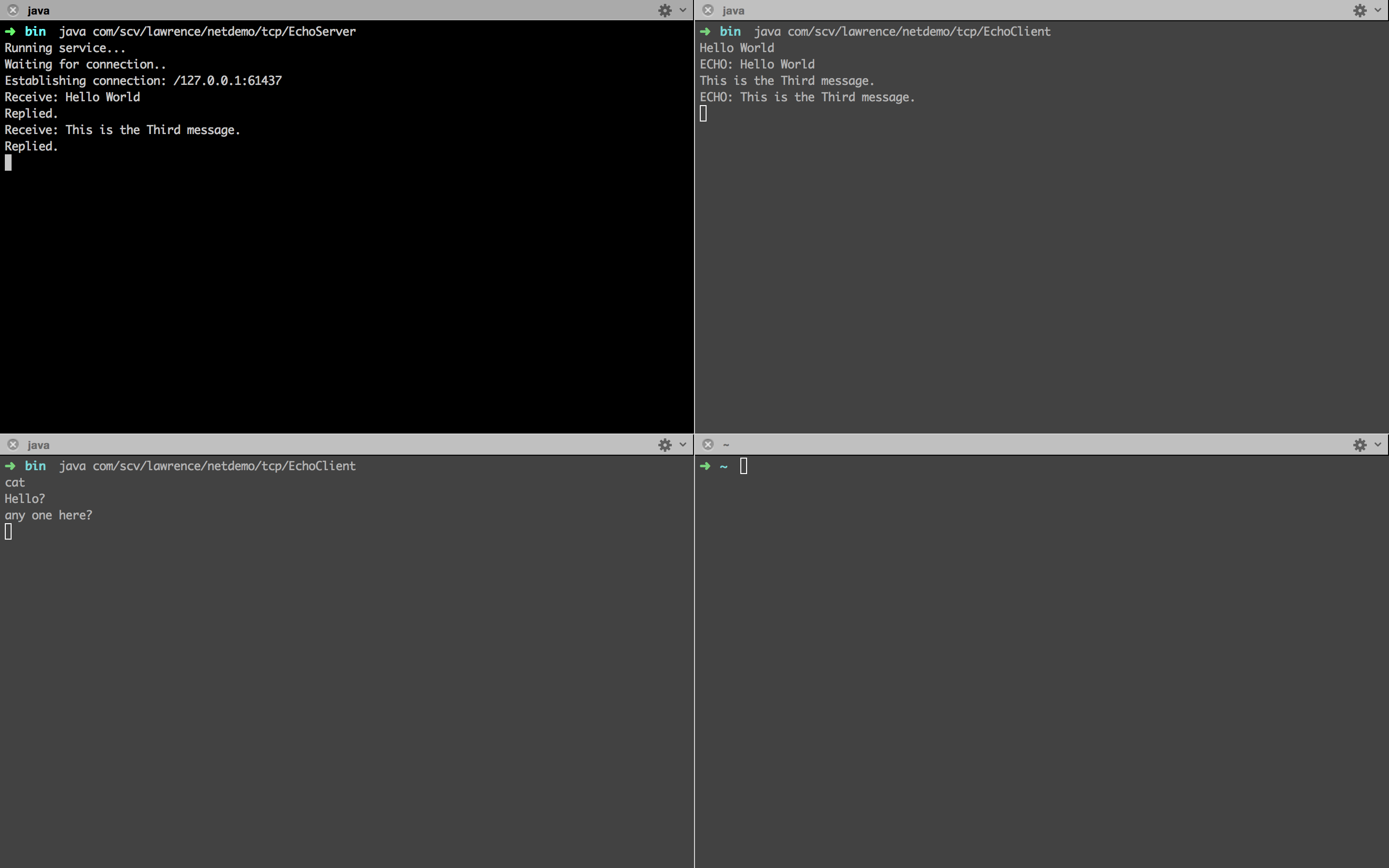 java echo server_Java：Echo程序（练手）-CSDN博客