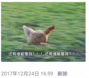 8d6d89d0f6c52cf96fbf182fc1dcd138.png