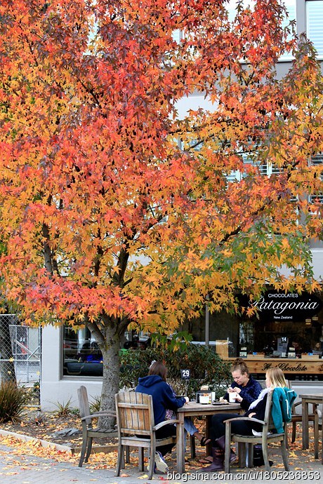 [转载]【纯净新西兰】漫步在童话小镇的秋天