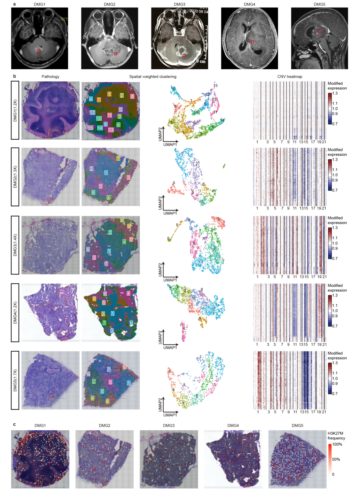 Spatial Niches Transcriptomics 10X空间转录组数据分析汇总2_spatial transcriptomics reveals niche-specific enr-CSDN博客