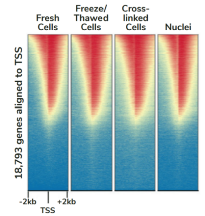 Epicypher热销产品——CUTANA™ ChIC/CUT&RUN Kit
