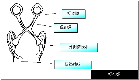 2009041013382012.gif