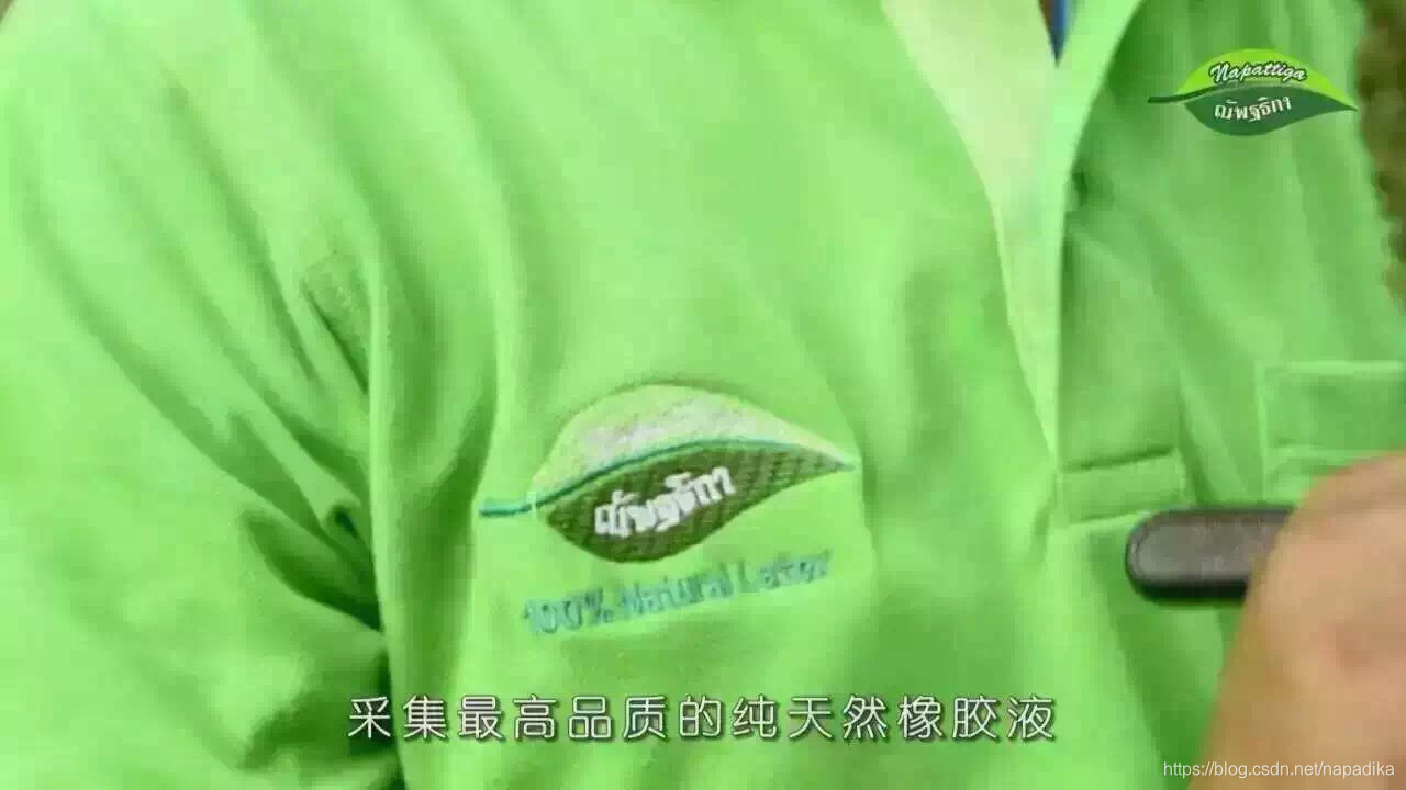 采集最高品质的纯天然橡胶液体