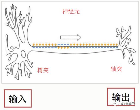 \"image\"