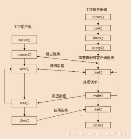 生命周期