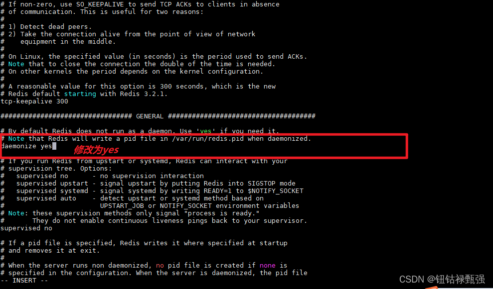 程序员必看内容连续集之 Redis 01_redis daemonize-CSDN博客
