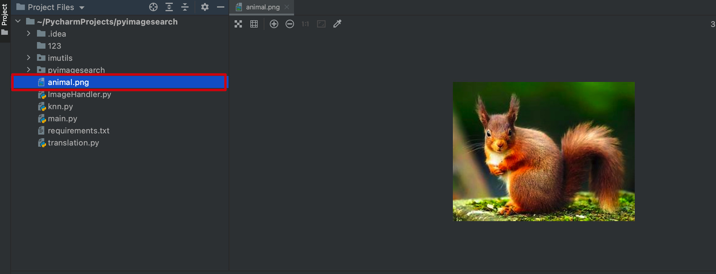 image-20211004172038430