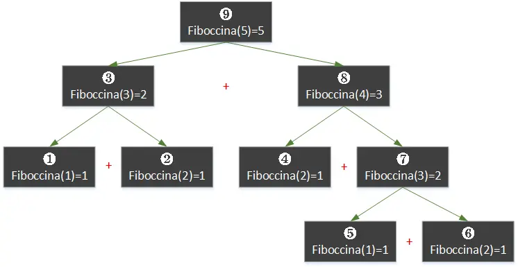 fiboccina.png