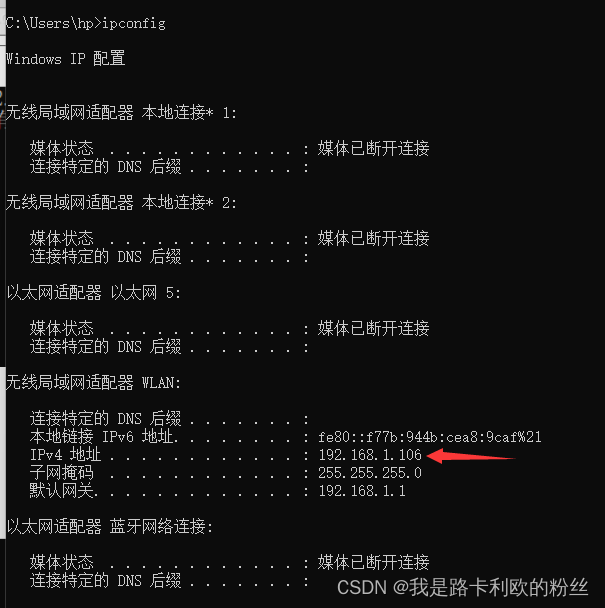 Python+花生壳搭建一个外网访问本地文件的服务器_如何让让外部访问本机文件-CSDN博客