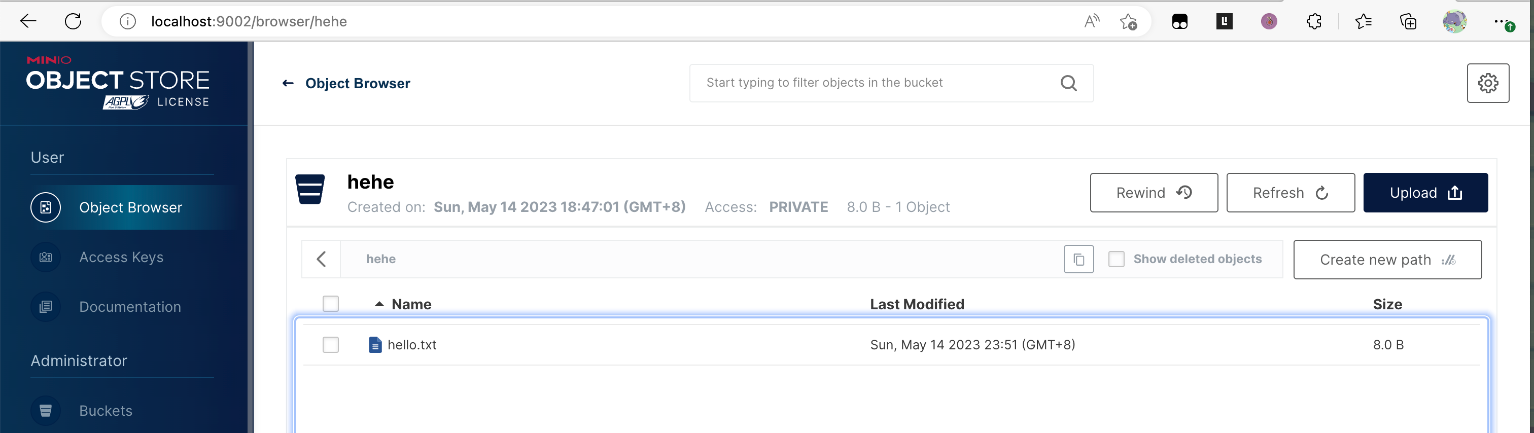 image-20230515002328726