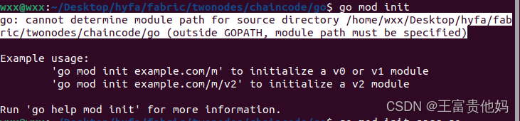 go: cannot determine module path for source directory-CSDN博客