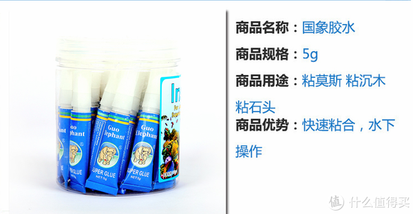 开缸种草篇