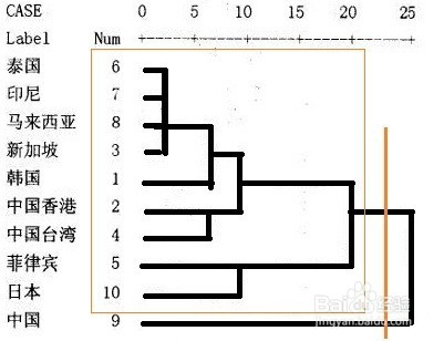 教你怎么看聚类分析的树状图