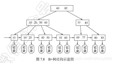 B+树结构示意图