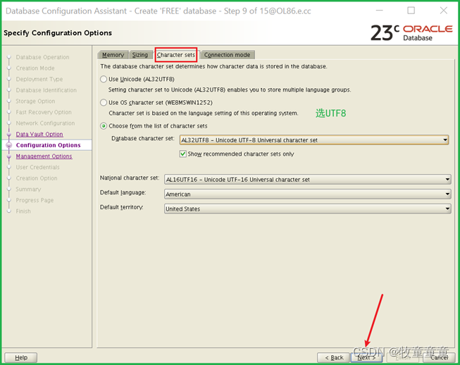 Oracle23c Free安装_oracle-database-preinstall-23c-CSDN博客