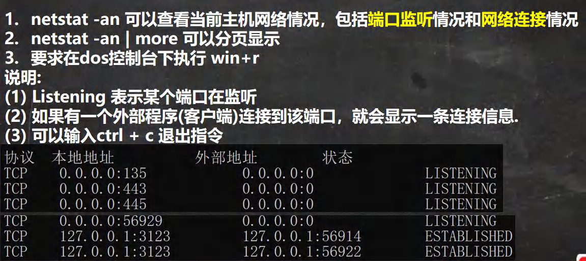 image-20220206165239029.png