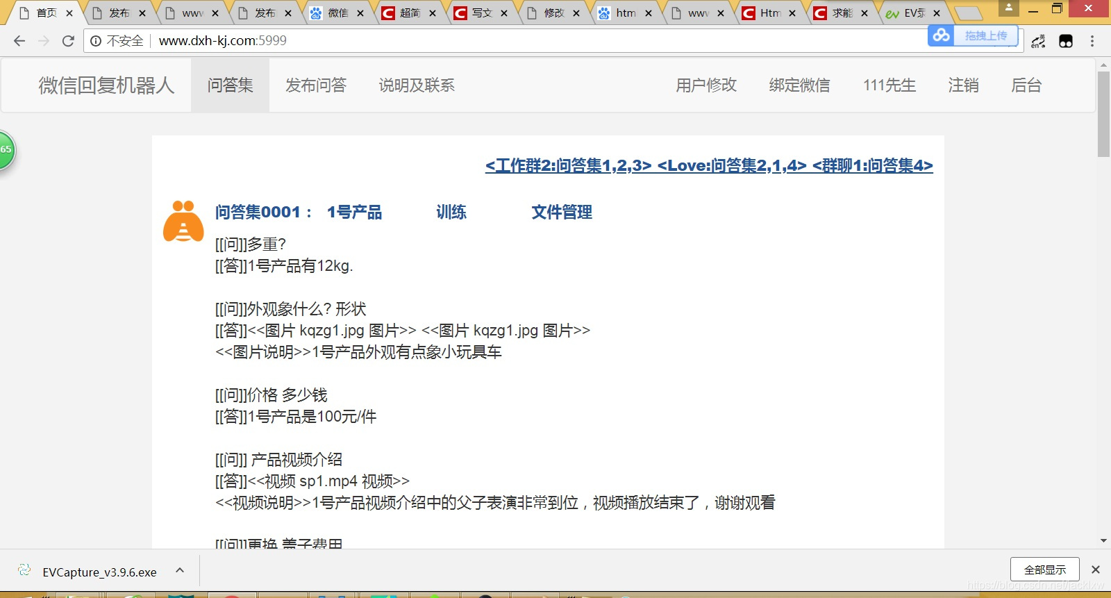 问答集的录入格式如上图