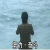 追梦_吹吹风头像