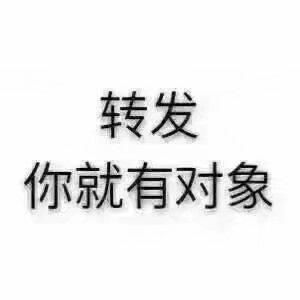 337b7f6e134cfc3ab7c1d03bb0925c7b.png
