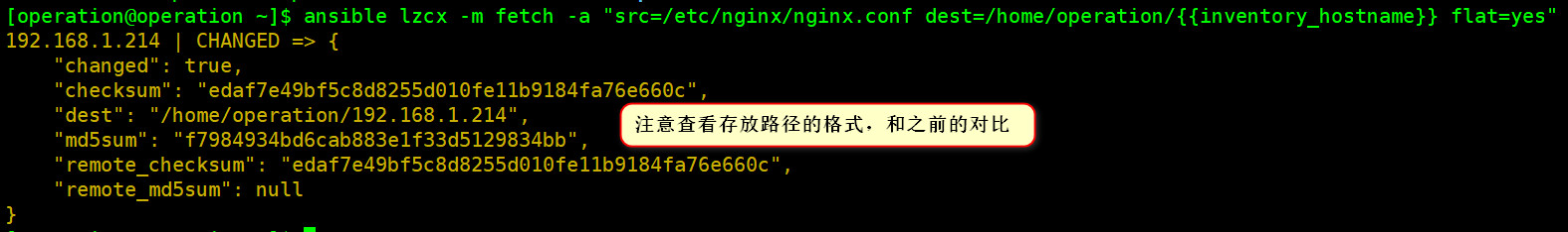 11.fetch的inventory_hostname变量使用