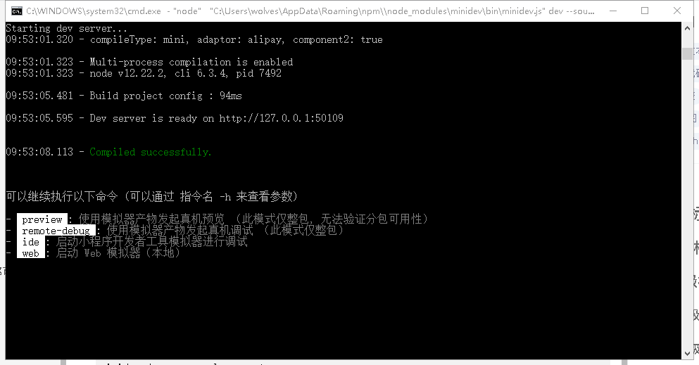 命令行执行结果