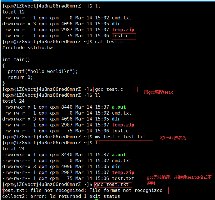 image-20230314154326487