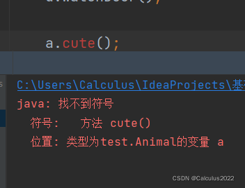 a调用Cat类中的独有方法cute，运行报错