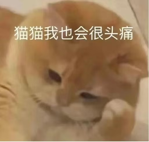头大表情包