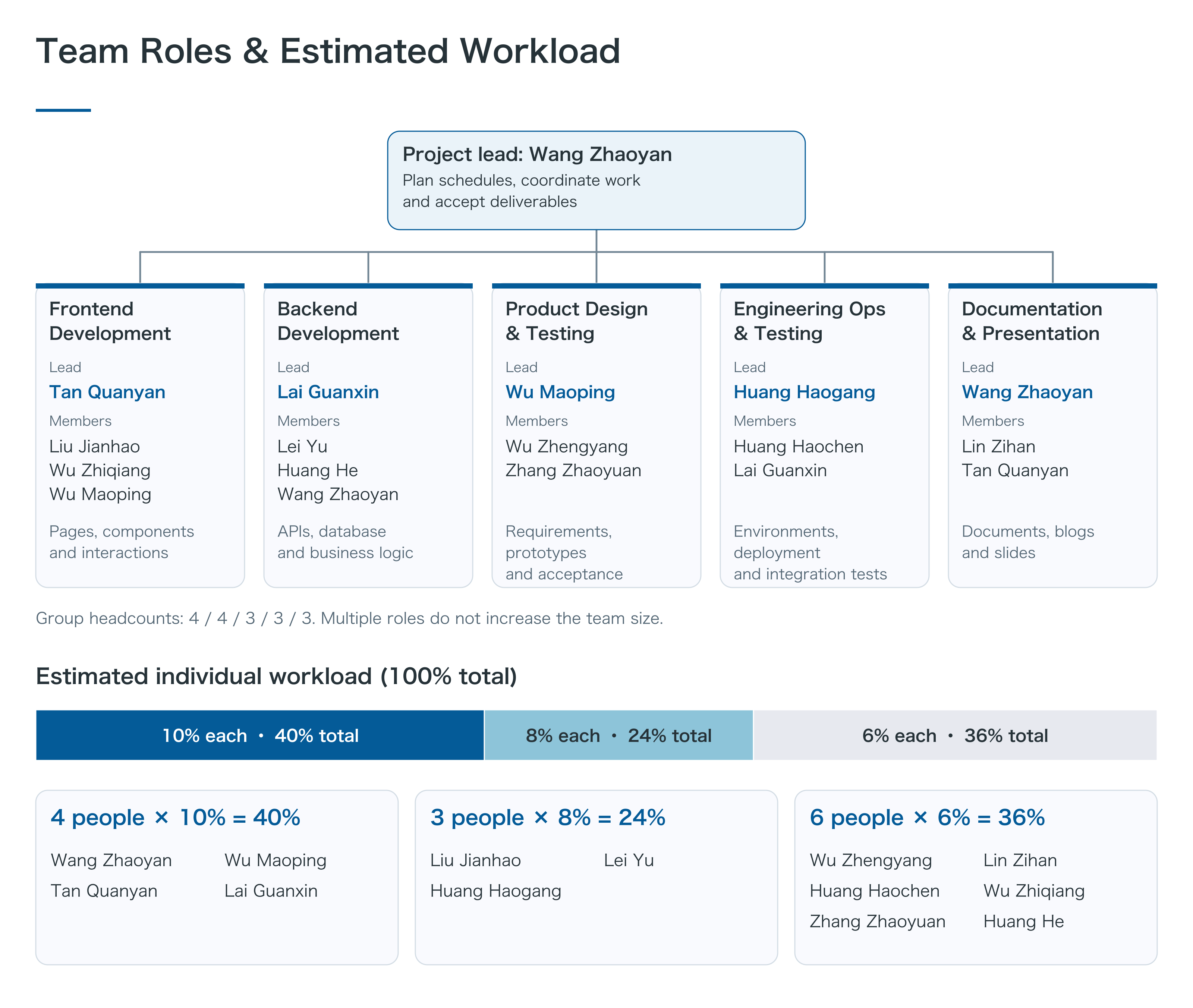 Team Responsibilities and Planned Workload