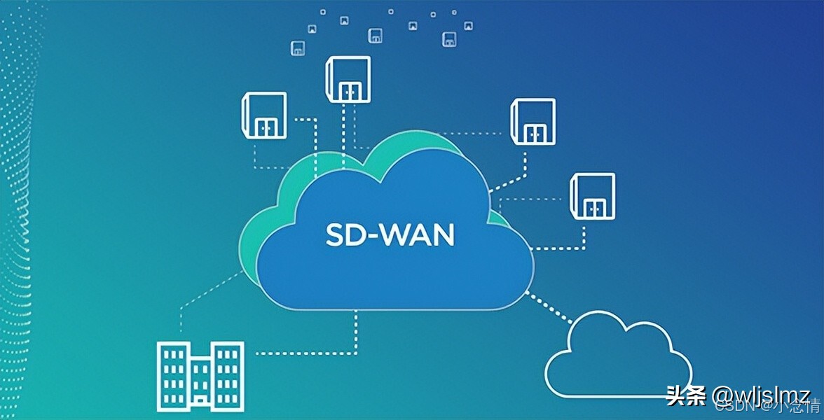 SDN_SD-WAN_Python SDN