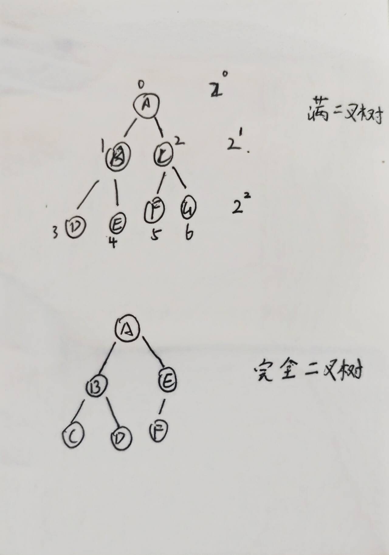java数据结构二叉树1-CSDN博客