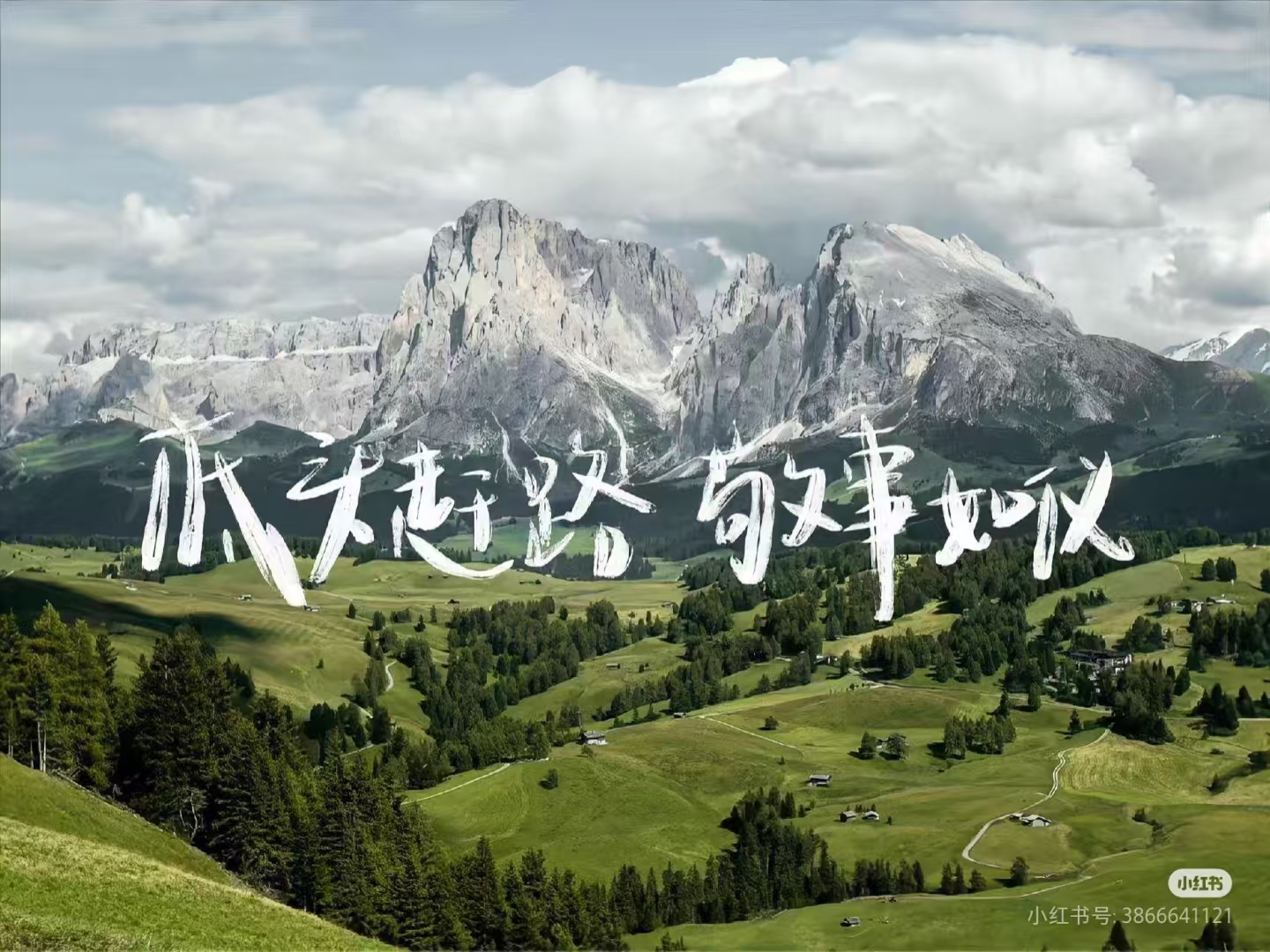 文章图片
