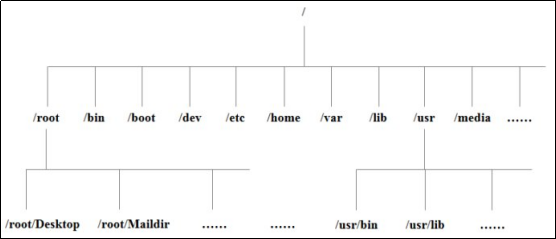 27、大模型技术之Linux-CSDN博客