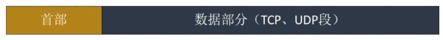 IP数据报格式