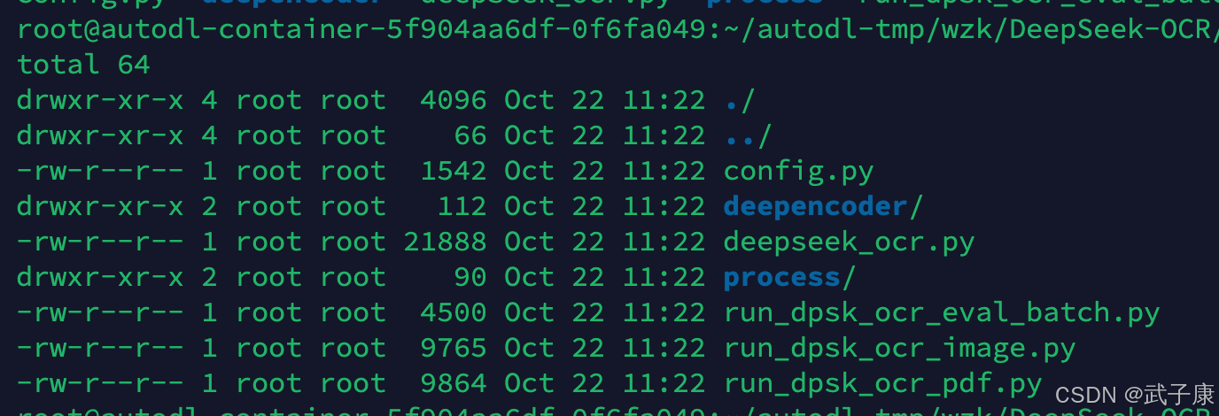DeepSeek-OCR 对应目录
