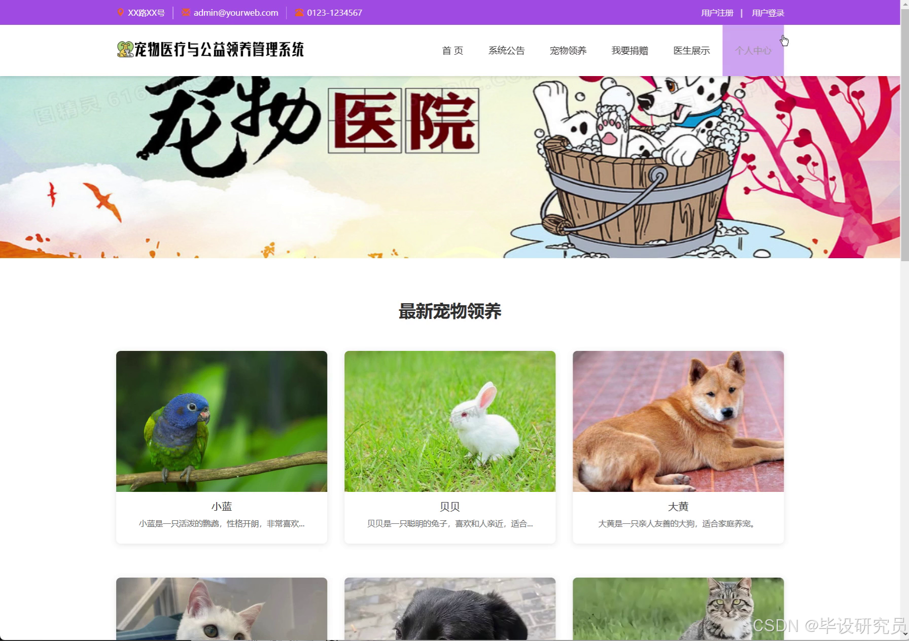 前台门户轮播区与最新宠物领养卡片列表